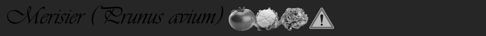 Étiquette de : Prunus avium - format a - style noire29viv avec comestibilité simplifiée