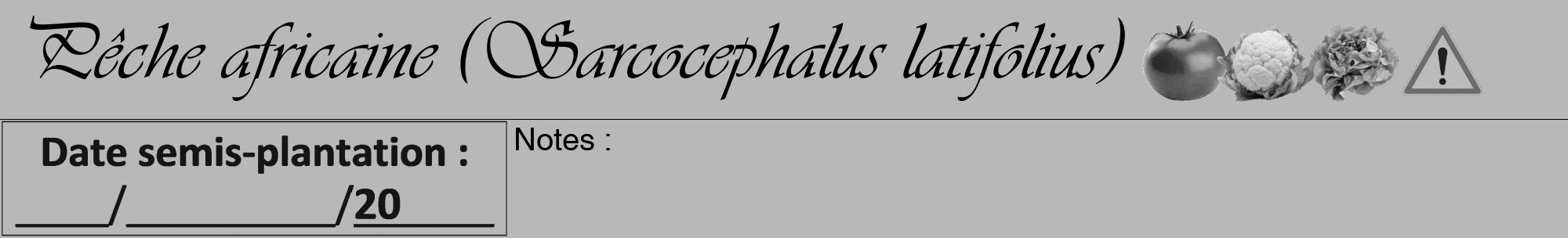 Étiquette de : Sarcocephalus latifolius - format a - style noire39viv avec comestibilité simplifiée