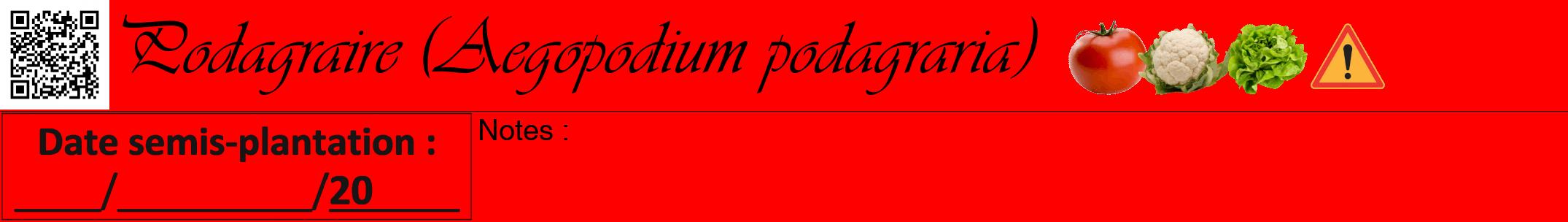 Étiquette de : Aegopodium podagraria - format a - style noire27viv avec qrcode et comestibilité simplifiée