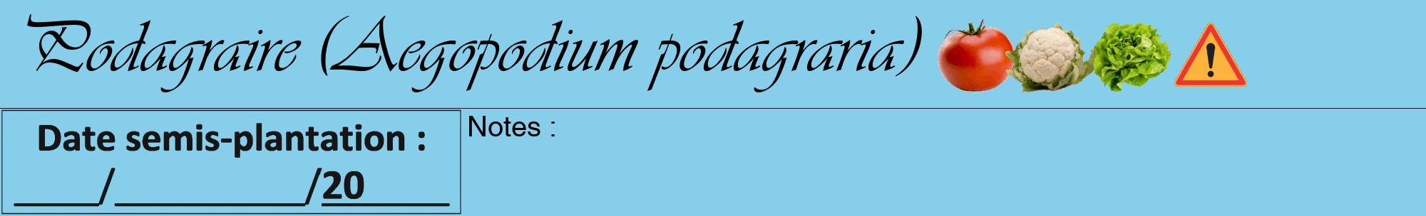 Étiquette de : Aegopodium podagraria - format a - style noire1basiqueviv avec comestibilité simplifiée