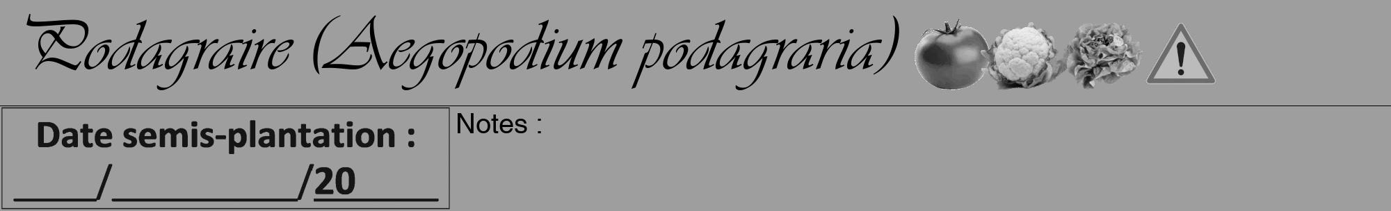 Étiquette de : Aegopodium podagraria - format a - style noire23viv avec comestibilité simplifiée