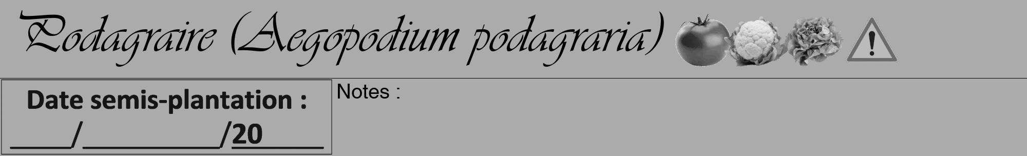 Étiquette de : Aegopodium podagraria - format a - style noire37viv avec comestibilité simplifiée