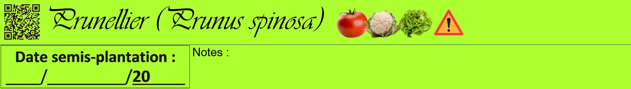 Étiquette de : Prunus spinosa - format a - style noire17viv avec qrcode et comestibilité simplifiée