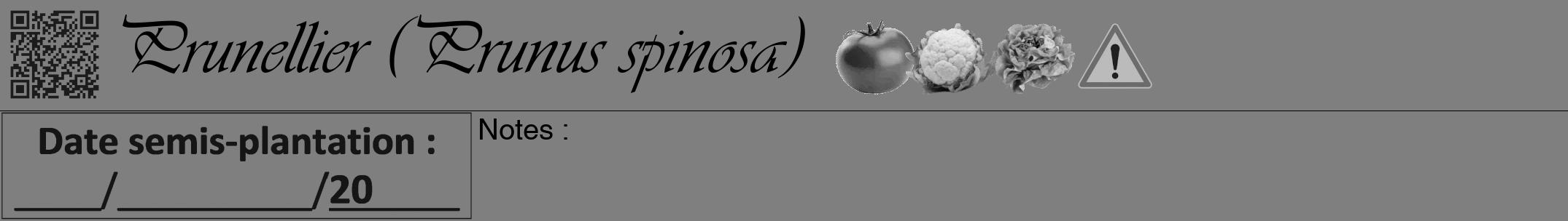 Étiquette de : Prunus spinosa - format a - style noire57viv avec qrcode et comestibilité simplifiée