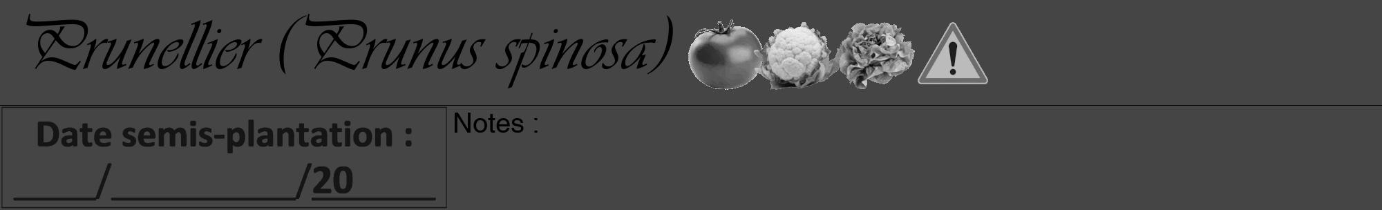 Étiquette de : Prunus spinosa - format a - style noire58viv avec comestibilité simplifiée