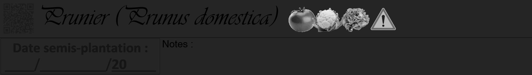 Étiquette de : Prunus domestica - format a - style noire47viv avec qrcode et comestibilité simplifiée