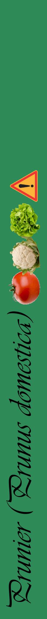 Étiquette de : Prunus domestica - format a - style noire11viv avec comestibilité simplifiée