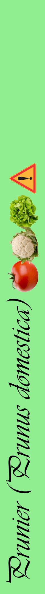 Étiquette de : Prunus domestica - format a - style noire15viv avec comestibilité simplifiée
