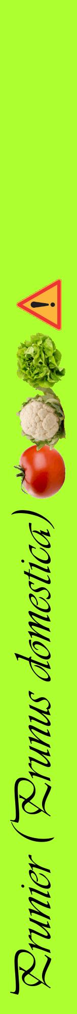Étiquette de : Prunus domestica - format a - style noire17viv avec comestibilité simplifiée