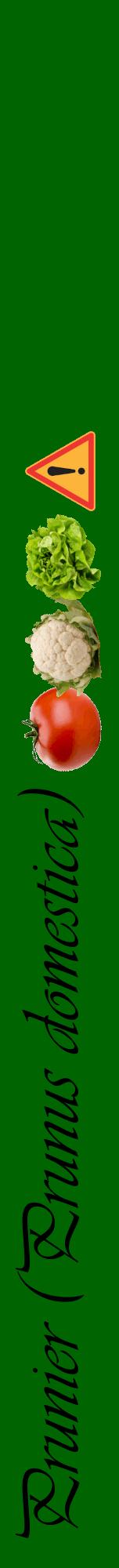 Étiquette de : Prunus domestica - format a - style noire8viv avec comestibilité simplifiée