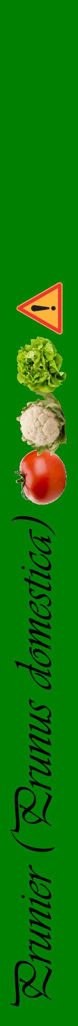 Étiquette de : Prunus domestica - format a - style noire9viv avec comestibilité simplifiée