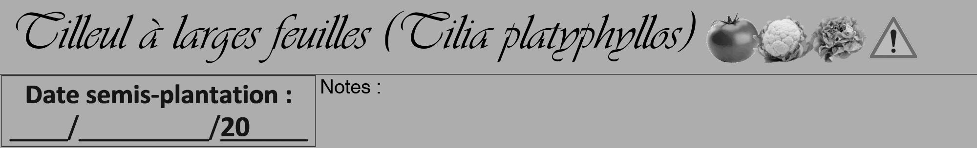 Étiquette de : Tilia platyphyllos - format a - style noire22viv avec comestibilité simplifiée