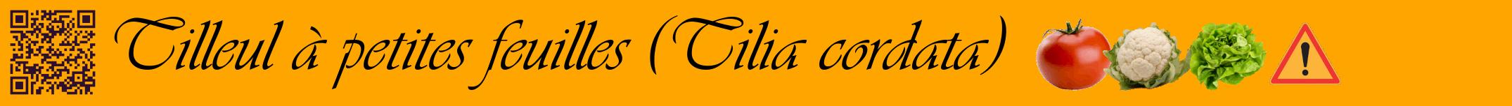 Étiquette de : Tilia cordata - format a - style noire22basiqueviv avec qrcode et comestibilité simplifiée