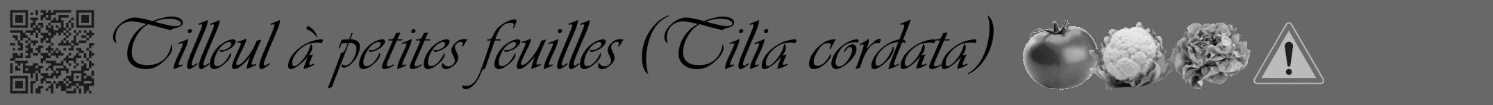 Étiquette de : Tilia cordata - format a - style noire6viv avec qrcode et comestibilité simplifiée