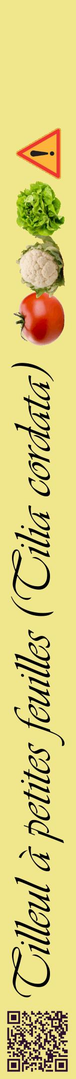 Étiquette de : Tilia cordata - format a - style noire20viv avec qrcode et comestibilité simplifiée