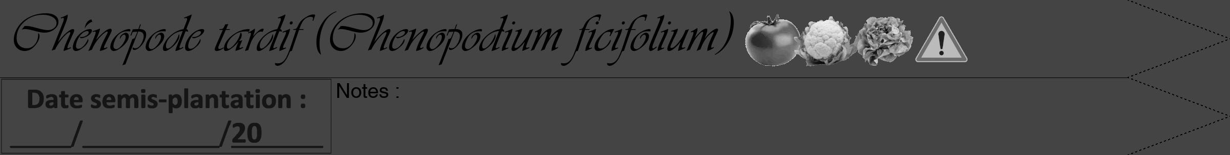 Étiquette de : Chenopodium ficifolium - format b - style noire48viv avec comestibilité simplifiée