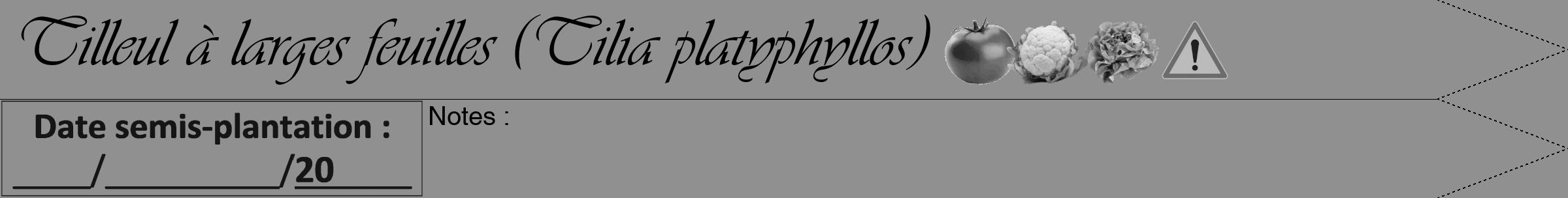Étiquette de : Tilia platyphyllos - format b - style noire4viv avec comestibilité simplifiée