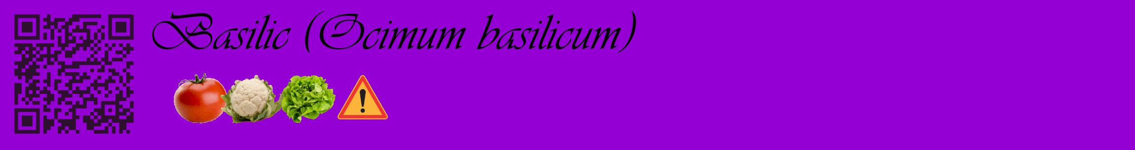 Étiquette de : Ocimum basilicum - format c - style noire48basique_basique_basiqueviv avec qrcode et comestibilité simplifiée