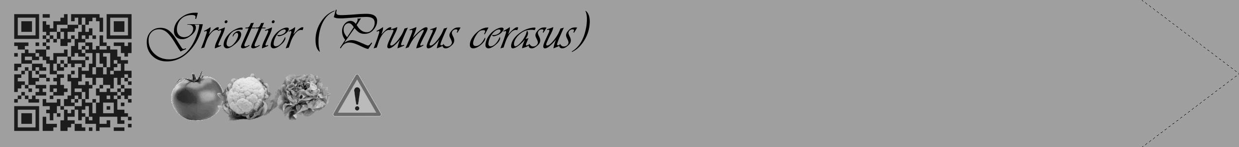 Étiquette de : Prunus cerasus - format c - style noire24_simple_simpleviv avec qrcode et comestibilité simplifiée