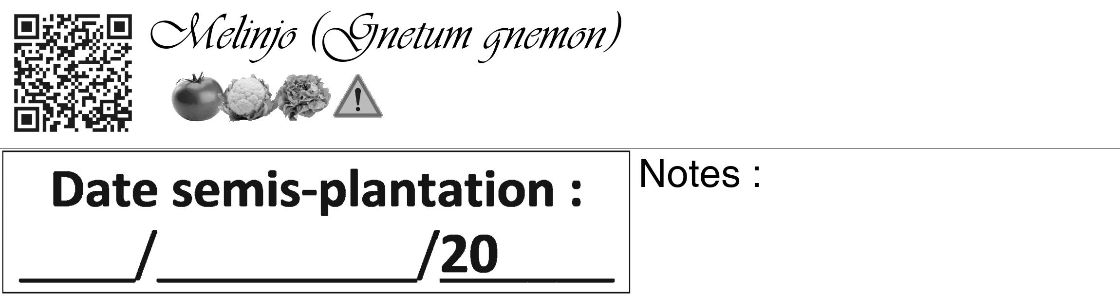Étiquette de : Gnetum gnemon - format c - style noire60_basique_basiqueviv avec qrcode et comestibilité simplifiée