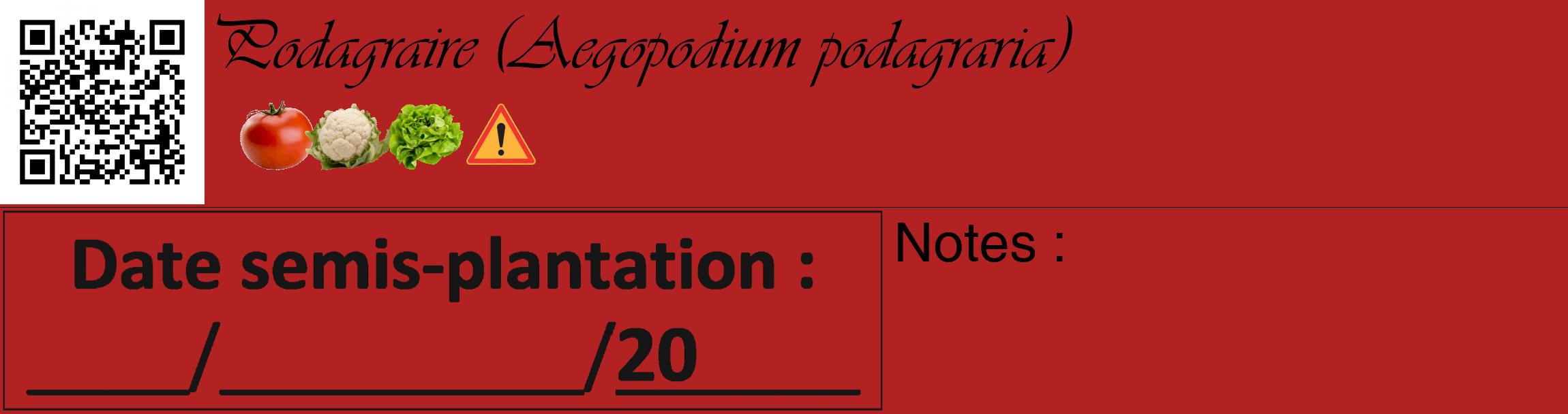 Étiquette de : Aegopodium podagraria - format c - style noire28_basique_basiqueviv avec qrcode et comestibilité simplifiée