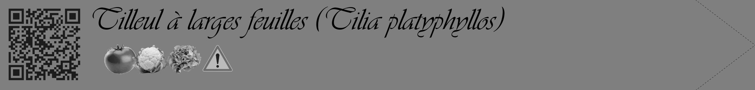 Étiquette de : Tilia platyphyllos - format c - style noire31_simple_simpleviv avec qrcode et comestibilité simplifiée