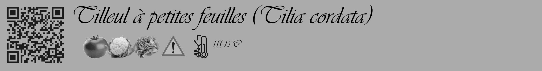 Étiquette de : Tilia cordata - format c - style noire37_basique_basiqueviv avec qrcode et comestibilité simplifiée