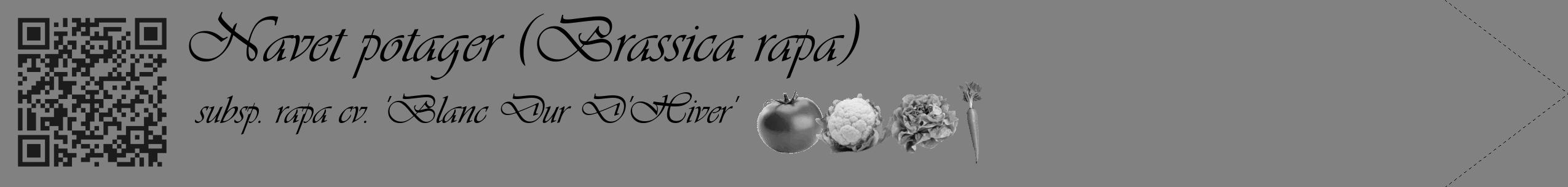 Étiquette de : Brassica rapa subsp. rapa cv. 'Blanc Dur D'Hiver' - format c - style noire50simple_basique_basiqueviv avec qrcode et comestibilité simplifiée