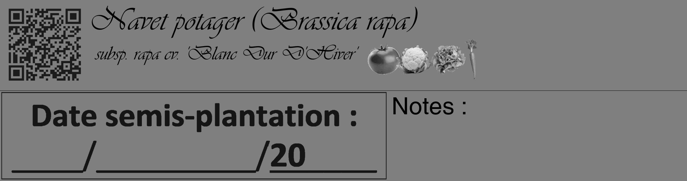 Étiquette de : Brassica rapa subsp. rapa cv. 'Blanc Dur D'Hiver' - format c - style noire57_basique_basiqueviv avec qrcode et comestibilité simplifiée
