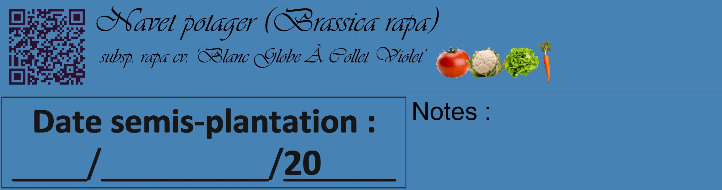 Étiquette de : Brassica rapa subsp. rapa cv. 'Blanc Globe À Collet Violet' - format c - style noire5_basique_basiqueviv avec qrcode et comestibilité simplifiée