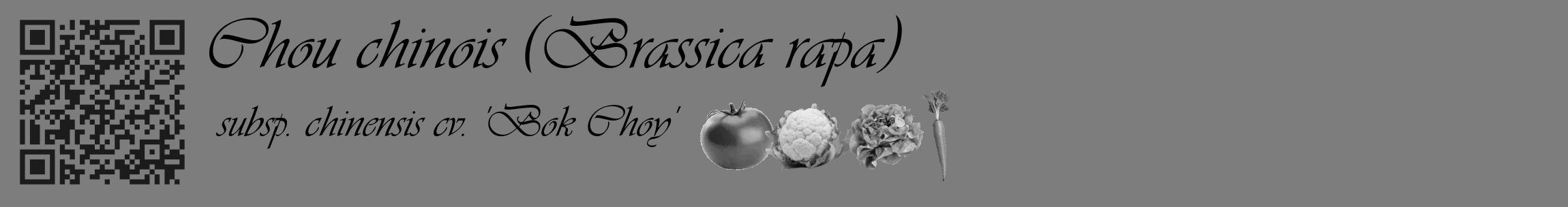 Étiquette de : Brassica rapa subsp. chinensis cv. 'Bok Choy' - format c - style noire35_basique_basiqueviv avec qrcode et comestibilité simplifiée