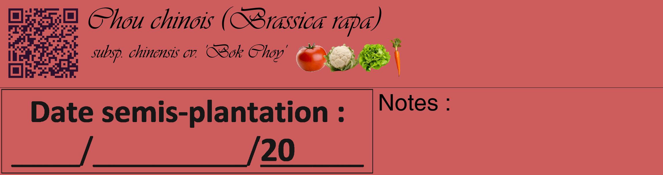 Étiquette de : Brassica rapa subsp. chinensis cv. 'Bok Choy' - format c - style noire35_basique_basiqueviv avec qrcode et comestibilité simplifiée