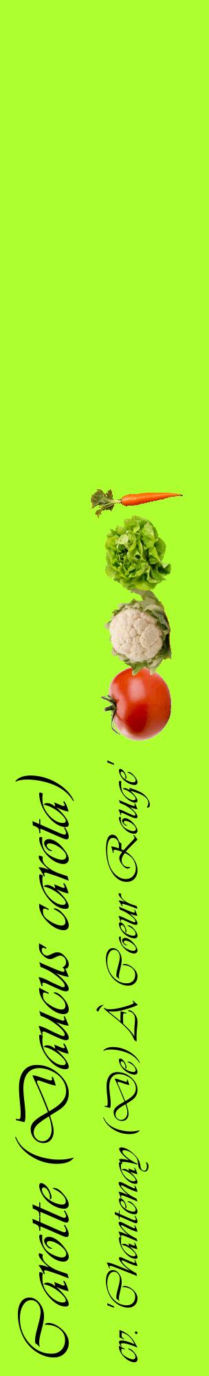 Étiquette de : Daucus carota cv. 'Chantenay (De) À Coeur Rouge' - format c - style noire17_basiqueviv avec comestibilité simplifiée
