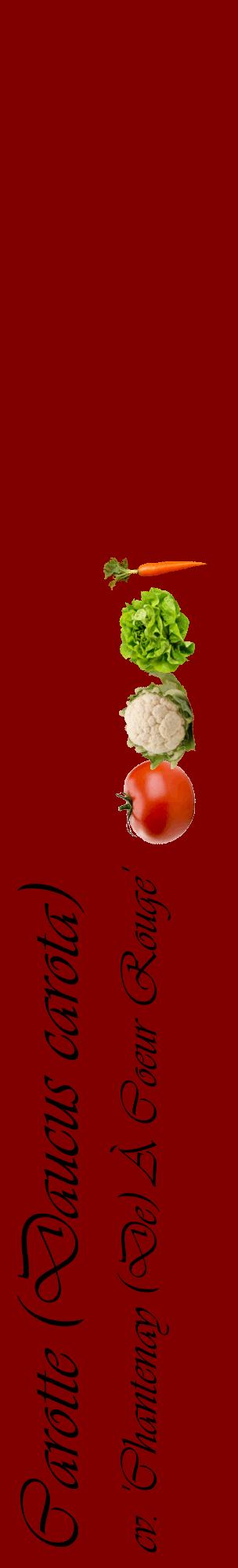 Étiquette de : Daucus carota cv. 'Chantenay (De) À Coeur Rouge' - format c - style noire29_basiqueviv avec comestibilité simplifiée