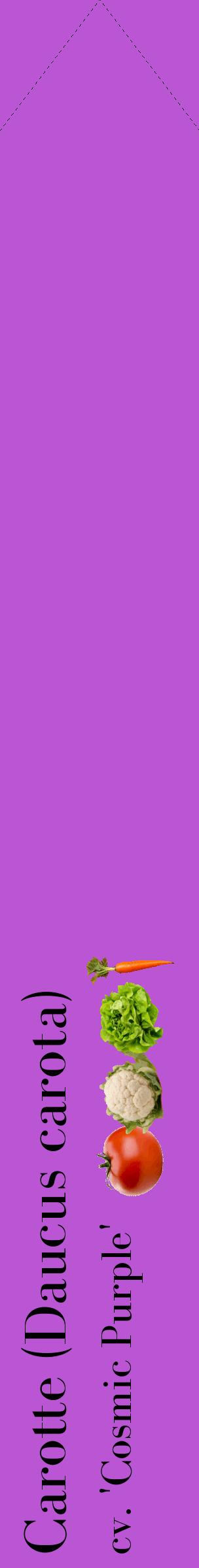 Étiquette de : Daucus carota cv. 'Cosmic Purple' - format c - style noire50_simplebod avec comestibilité simplifiée