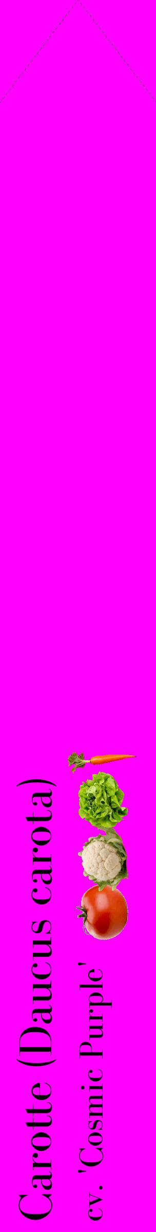 Étiquette de : Daucus carota cv. 'Cosmic Purple' - format c - style noire51_simplebod avec comestibilité simplifiée