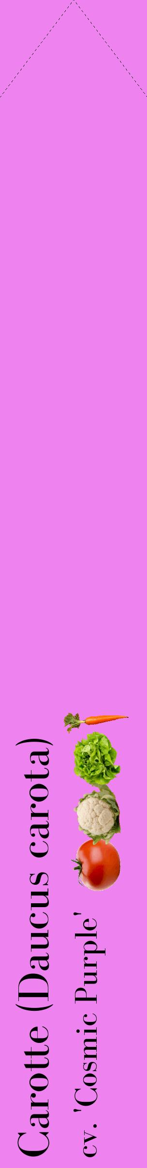 Étiquette de : Daucus carota cv. 'Cosmic Purple' - format c - style noire53_simplebod avec comestibilité simplifiée