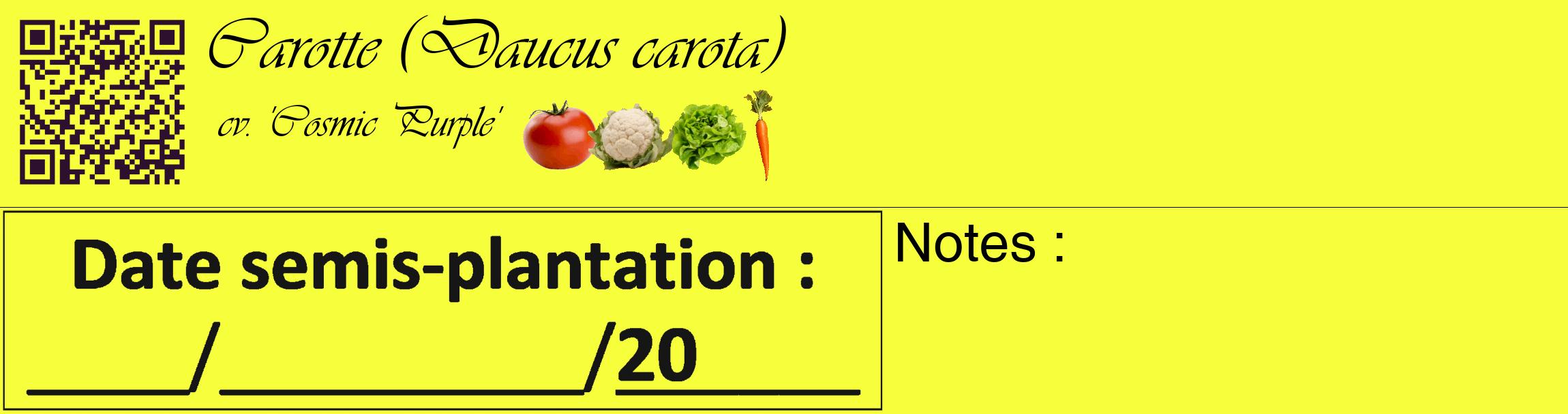 Étiquette de : Daucus carota cv. 'Cosmic Purple' - format c - style noire18_basique_basiqueviv avec qrcode et comestibilité simplifiée