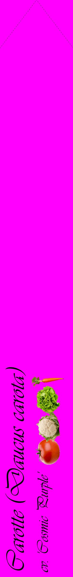 Étiquette de : Daucus carota cv. 'Cosmic Purple' - format c - style noire51_simpleviv avec comestibilité simplifiée