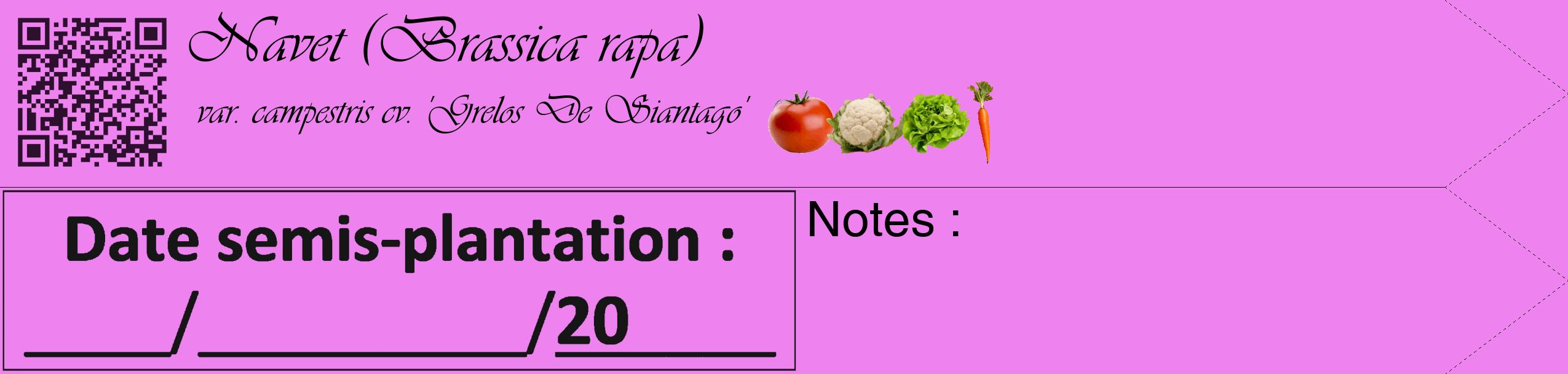 Étiquette de : Brassica rapa var. campestris cv. 'Grelos De Siantago' - format c - style noire53_simple_simpleviv avec qrcode et comestibilité simplifiée