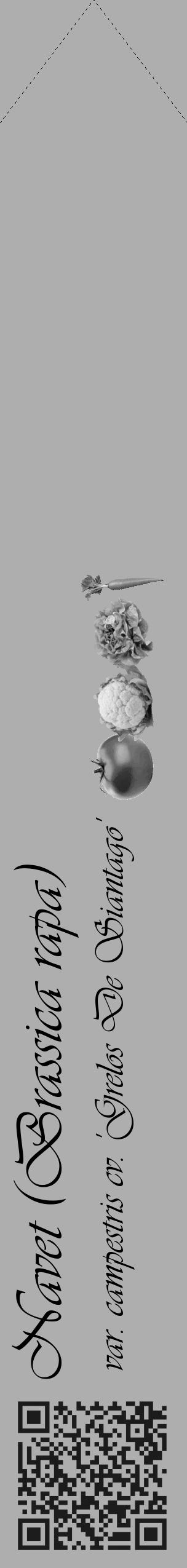 Étiquette de : Brassica rapa var. campestris cv. 'Grelos De Siantago' - format c - style noire53_simple_simpleviv avec qrcode et comestibilité simplifiée - position verticale