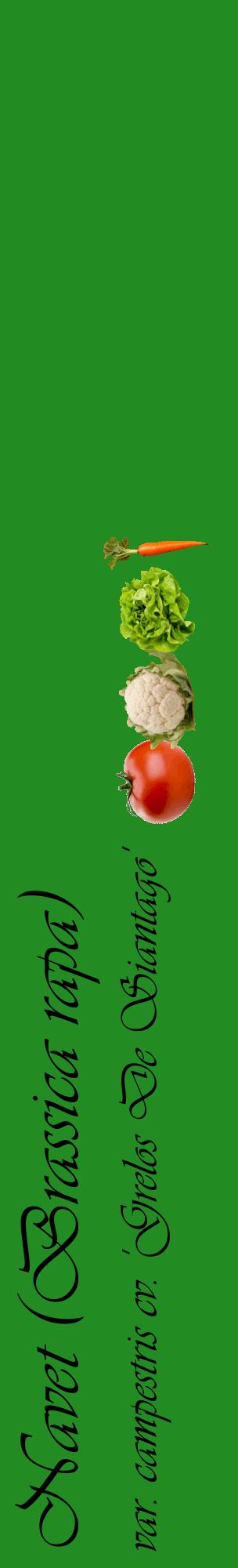 Étiquette de : Brassica rapa var. campestris cv. 'Grelos De Siantago' - format c - style noire10_basiqueviv avec comestibilité simplifiée