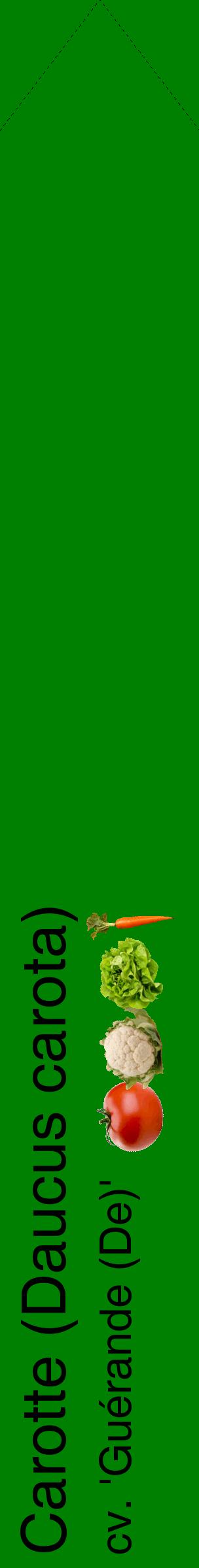 Étiquette de : Daucus carota cv. 'Guérande (De)' - format c - style noire9_simplehel avec comestibilité simplifiée