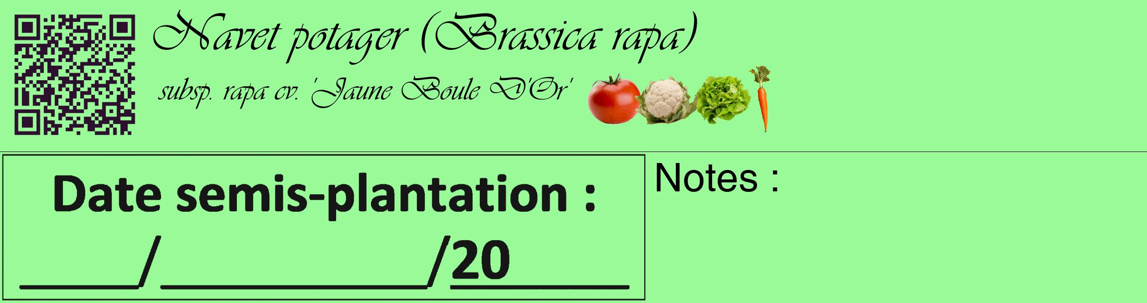 Étiquette de : Brassica rapa subsp. rapa cv. 'Jaune Boule D'Or' - format c - style noire14_basique_basiqueviv avec qrcode et comestibilité simplifiée