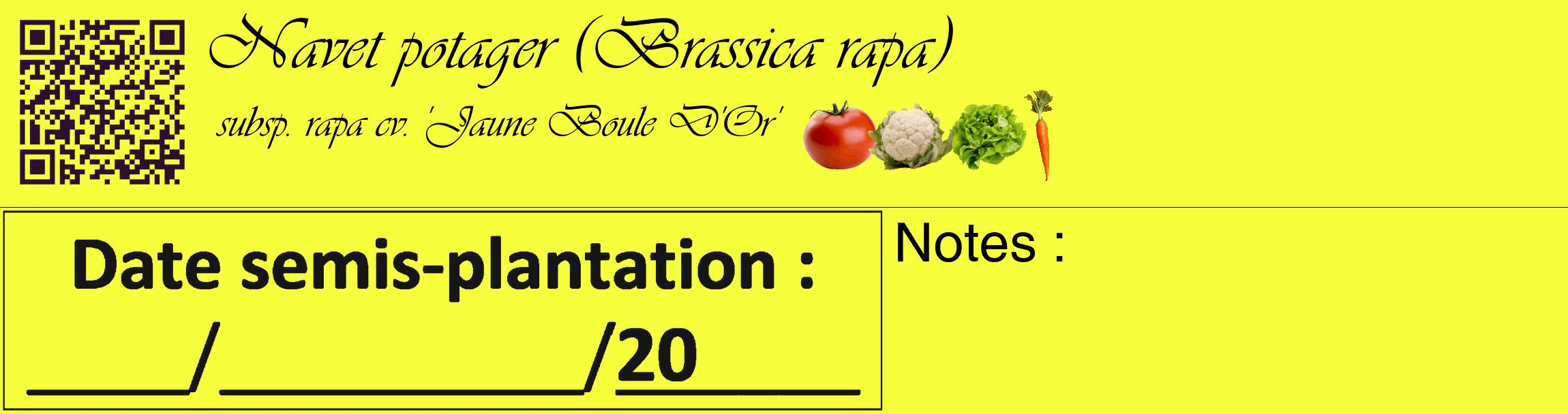 Étiquette de : Brassica rapa subsp. rapa cv. 'Jaune Boule D'Or' - format c - style noire18_basique_basiqueviv avec qrcode et comestibilité simplifiée