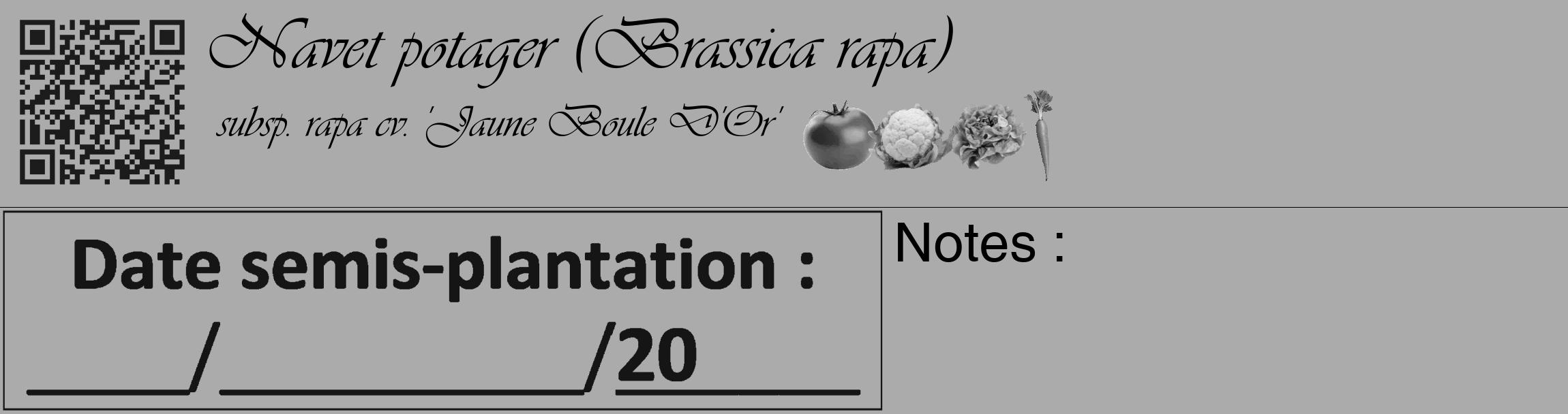 Étiquette de : Brassica rapa subsp. rapa cv. 'Jaune Boule D'Or' - format c - style noire37_basique_basiqueviv avec qrcode et comestibilité simplifiée