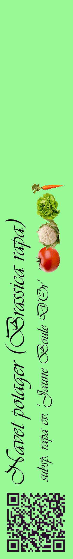 Étiquette de : Brassica rapa subsp. rapa cv. 'Jaune Boule D'Or' - format c - style noire14_basiqueviv avec qrcode et comestibilité simplifiée
