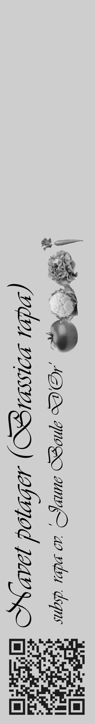 Étiquette de : Brassica rapa subsp. rapa cv. 'Jaune Boule D'Or' - format c - style noire17_basique_basiqueviv avec qrcode et comestibilité simplifiée - position verticale