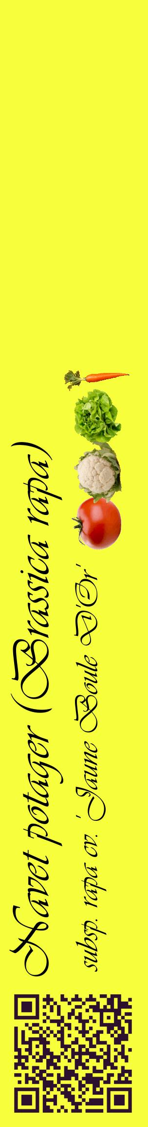 Étiquette de : Brassica rapa subsp. rapa cv. 'Jaune Boule D'Or' - format c - style noire18_basiqueviv avec qrcode et comestibilité simplifiée