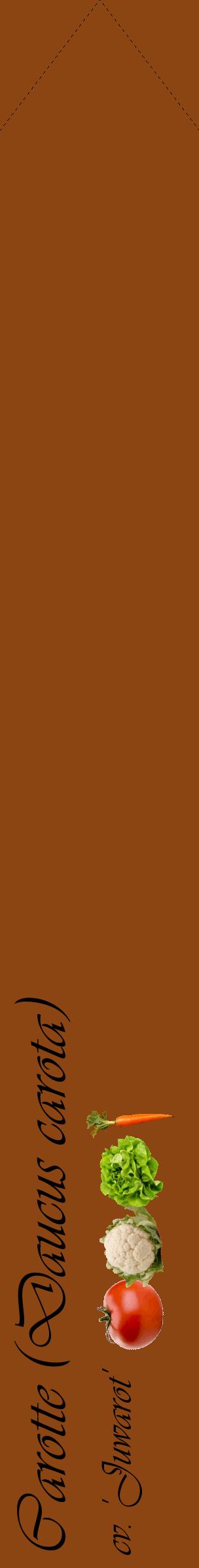 Étiquette de : Daucus carota cv. 'Juwarot' - format c - style noire30_simpleviv avec comestibilité simplifiée